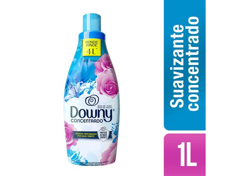 DOWNY CONCENTRADO 1L