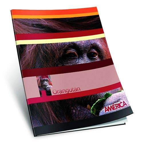 CUADERNO AMERICA T/F X 48 HOJAS RAYADAS