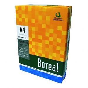 RESMA A4 COMBINADA 100 HOJAS