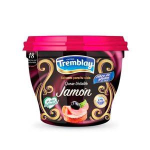 QUESO UNTABLE JAMON TREMBLAY  X 190 GR