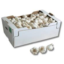 AJO CAJA GRANDE 