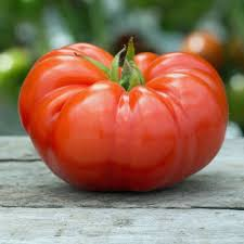 TOMATE PLATENSE