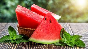 SANDIA 