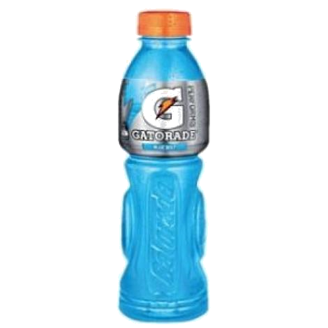 GATORADE COOL BLUE X 750 ML