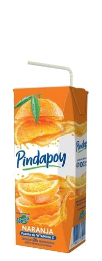 JUGO PINDAPOY NARANJA X200ML (18)