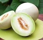 MELON ROCIO