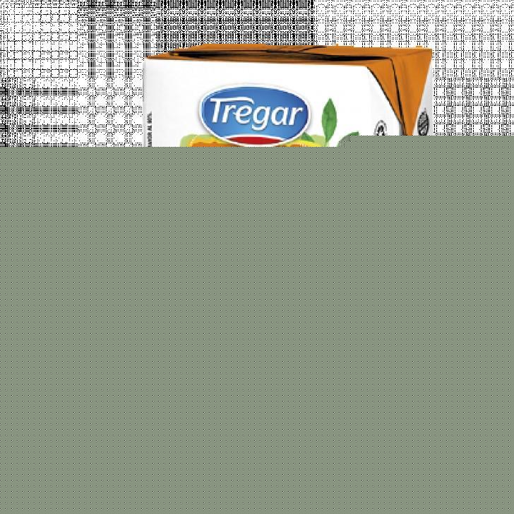 LECHE LIQ. TREGAR DESCRE. 0% LACTOSA X 1 L
