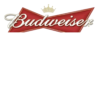 PROMO CERVEZA BUDWEISER LATA 6 X 473ML