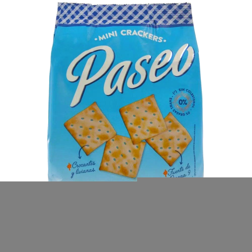 PASEO GALLETITAS SALVADO X 300 GRS