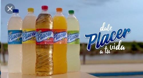 AGUA SAB. PLACER ANANÁ X 1.5LTR