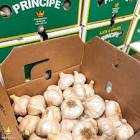 AJO CAJA CHICA 