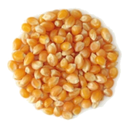 INSTITUTO  MAIZ PISIGALLO X 400G