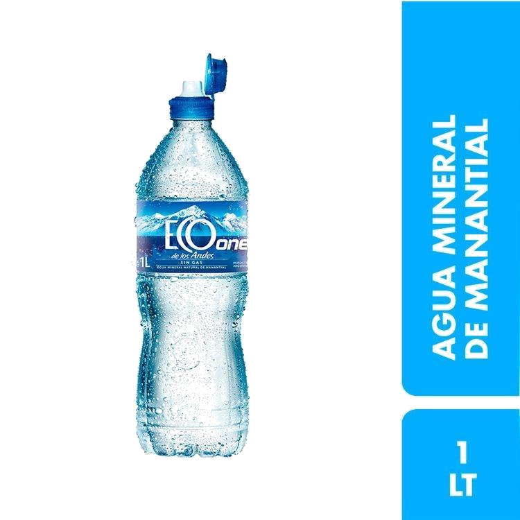 AGUA ECO DE LOS ANDES ONE X 1 LTS S/GAS