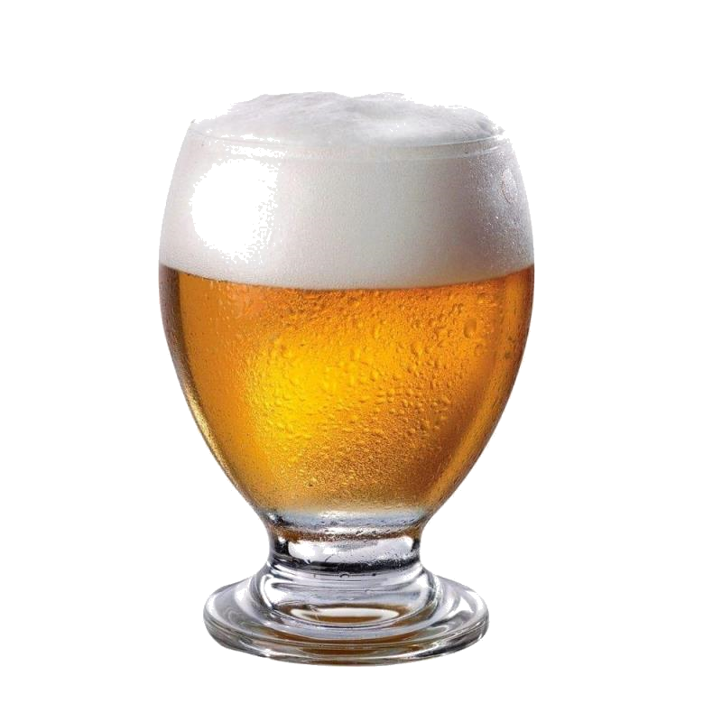 RIGOLLEAU COPA NORUEGA CERVEZA BALON X420ML