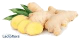JENGIBRE 