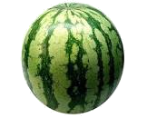 SANDIA 