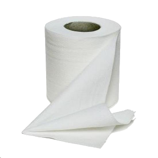 PAPEL HIGIENICO ESPLENDOR 80MTS 