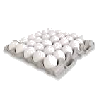 HUEVO BLANCO 