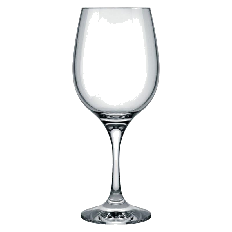 NADIR BARONE COPA DEGUSTACION X600ML